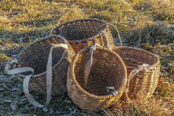 Hasır sepetleri sonbahar çimenlerin üzerinde el yapımı. Rusya