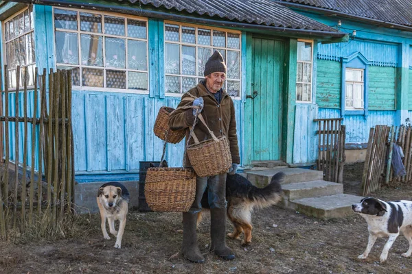 Eski köy yerleşik köpekler bir köy evinin arka planda
