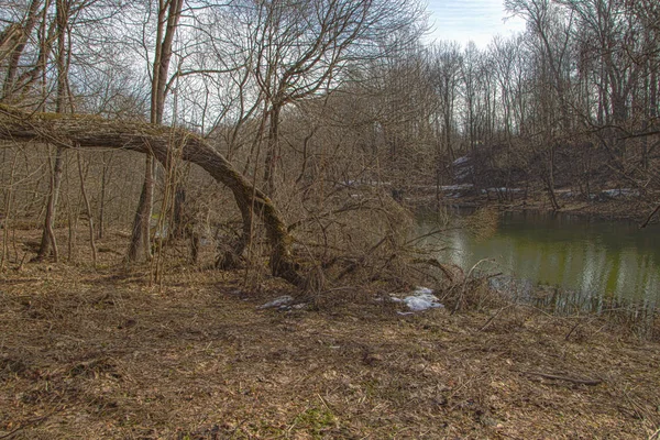 Nehrin Techa bahar. Kaluga bölgesi