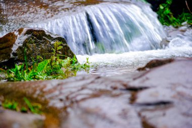 küçük bir şelalenin arka planına karşı taşlar büyüme
