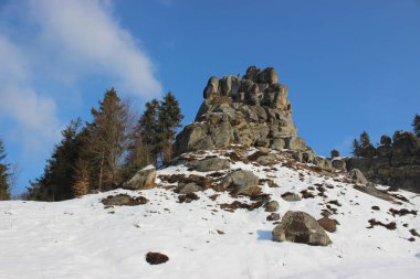 bulutlu mavi gökyüzüne karşı çam ağaçları arasında karlı uçurum