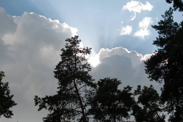 Los Rayos Del Sol Asoman Detrás Las Nubes —  Fotos de Stock
