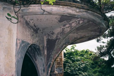 eski bina ormanda kavga