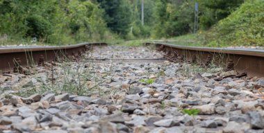 ormanda demiryolu eski raylar ve uyuyanlar