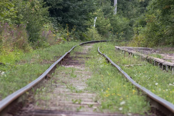 铁路在森林旧铁轨和卧铺 — 图库照片