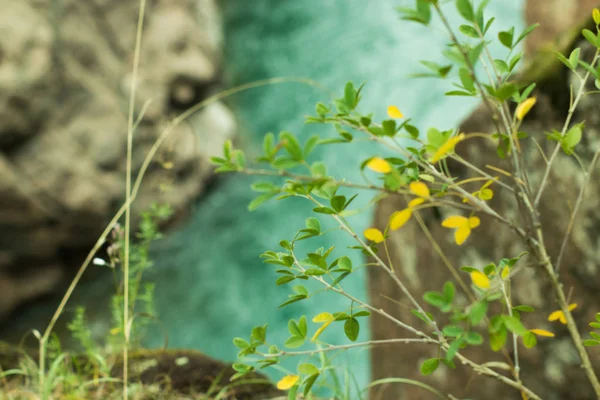 Dağ nehri hızlı akım su — Stok fotoğraf