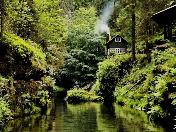 Old cottage in the woods Edmond Gorge Bohemian Switzerland National Park Czech Republic