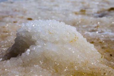 Deadsea beach bir tuz ile