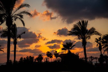 Jaffo, Tel-Aviv, günbatımı bir plajda 