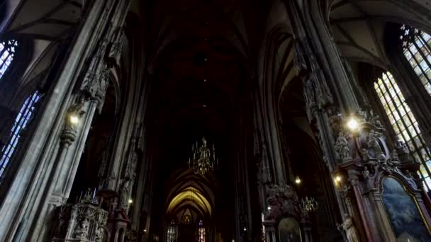 Viena Austria Iglesia Catedral San Esteban — Vídeo de stock