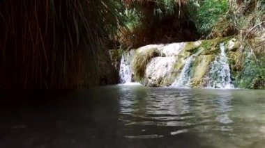 Ulusal parkta şelale Ein Gedi