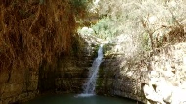 Ulusal parkta şelale Ein Gedi
