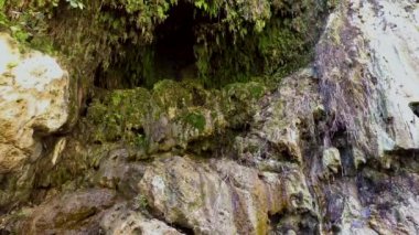 Ulusal parkta şelale Ein Gedi