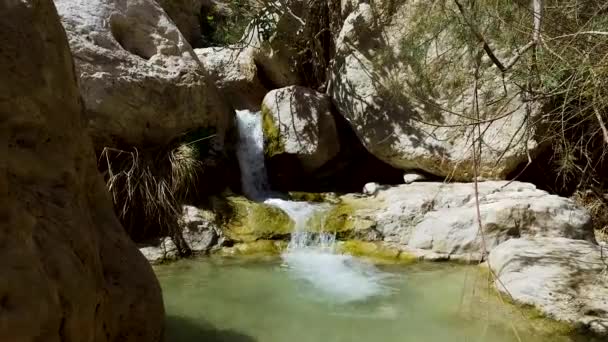 Водопад Национальном Парке Эйн Геди — стоковое видео
