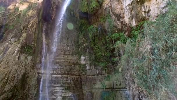 Cascata Nel Parco Nazionale Ein Gedi — Video Stock