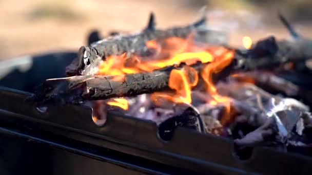 Barbacoa Carbón Llamas Cerca — Vídeo de stock