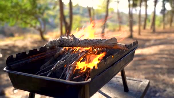 Barbecue Carbone Fiamme Vicino — Video Stock