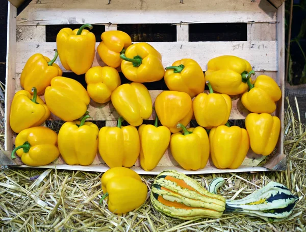 Yellow Pepper and Pumpkins in a Fruit Box
