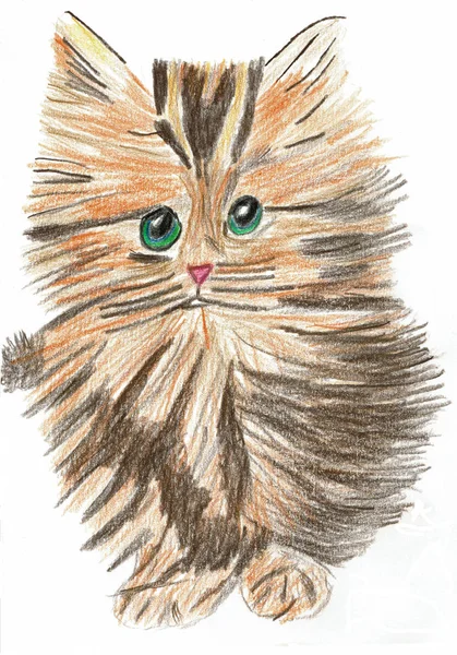 Oranje bruin kitten, hand getekende potlood tekening — Stockfoto