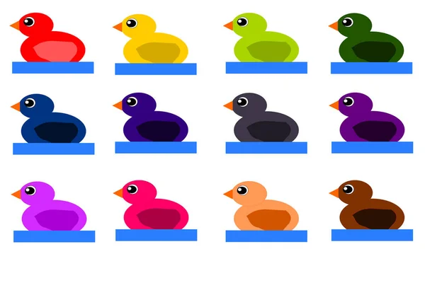 Set of Twelve Swimming Colored Fantasy Ducks