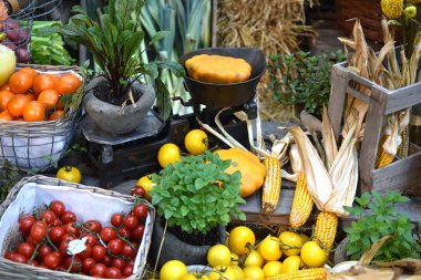 sağlıklı ve taze sebze