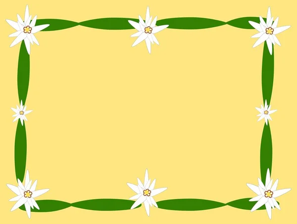 Sarı Arka Planda Edelweiss Sınırı