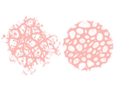 Cell Structures on an Isolated White Background clipart