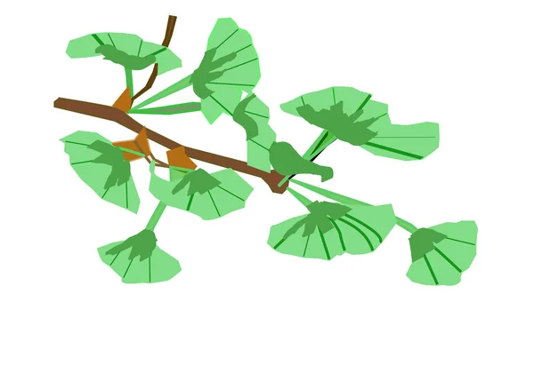Green Gingko Branch, Digital illustration — Stockfoto