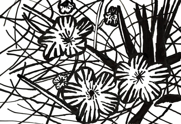 Flores silvestres I, desenho de tinta desenhada à mão — Fotografia de Stock