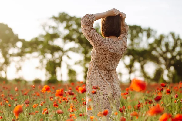 A girl wearing coffee colour dress feeling free on the red poppy field on the sunset. Young romantic woman stands among red flowers and looking towards the sun. Peace, freedom and love concept