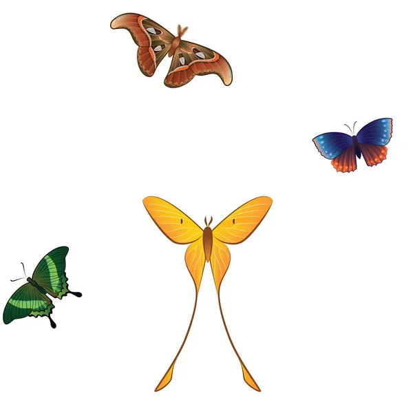 Absztrakt Zökkenőmentes Háttér Pillangókkal Modern Sablon Kártyák Meghívók Partikra Menük — Stock Vector