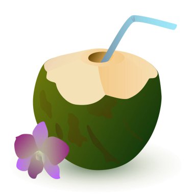 Yaz içeceği. Yeşil hindistan cevizli tropik kokteyl.