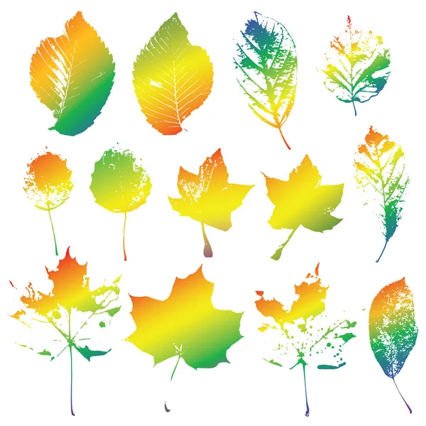 Набор силуэтов цветных натуральных листьев — стоковый вектор