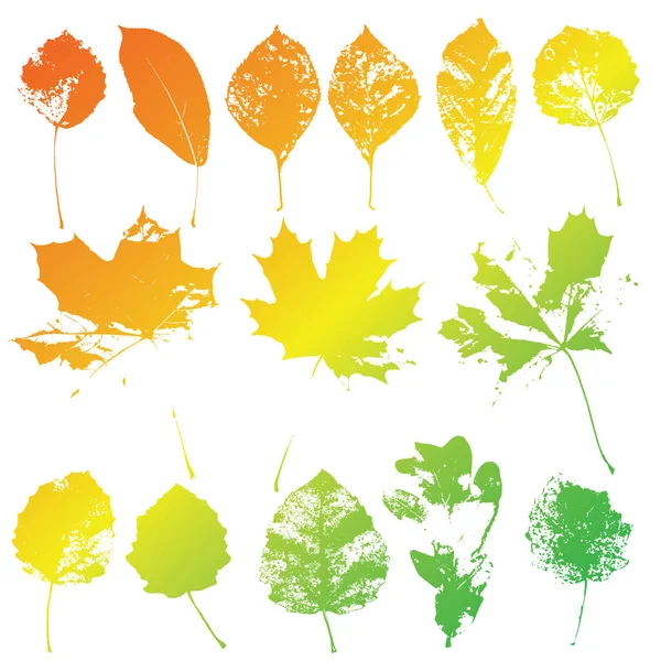 Ensemble de silhouettes de feuilles naturelles colorées — Image vectorielle