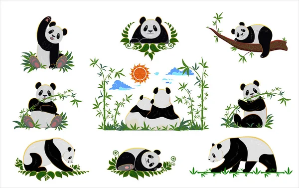 Colección Panda con bambú — Vector de stock