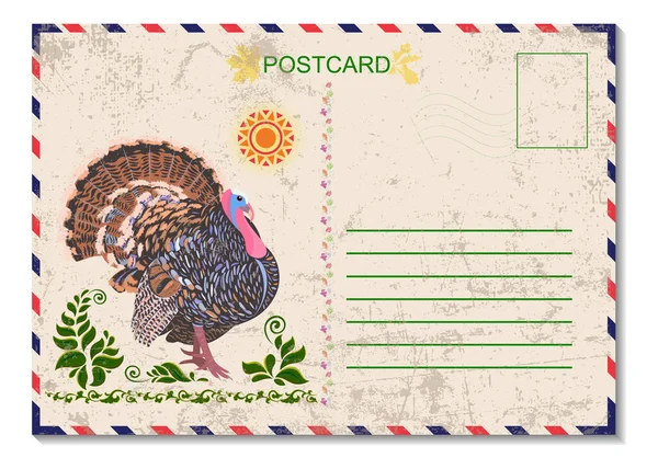 Thanksgiving turkey postcard. Happy Thanksgiving. Greeting card. Postal tourist card art design.