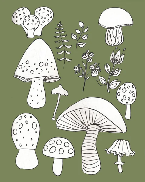 Cogumelo desenhado à mão esboço ilustração — Fotografia de Stock