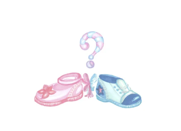 gender reveal party, two blue and pink shoes