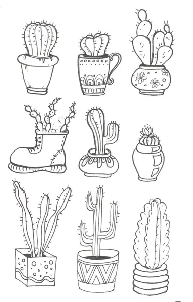 Conjunto de cactos em vasos para colorir livro — Fotografia de Stock