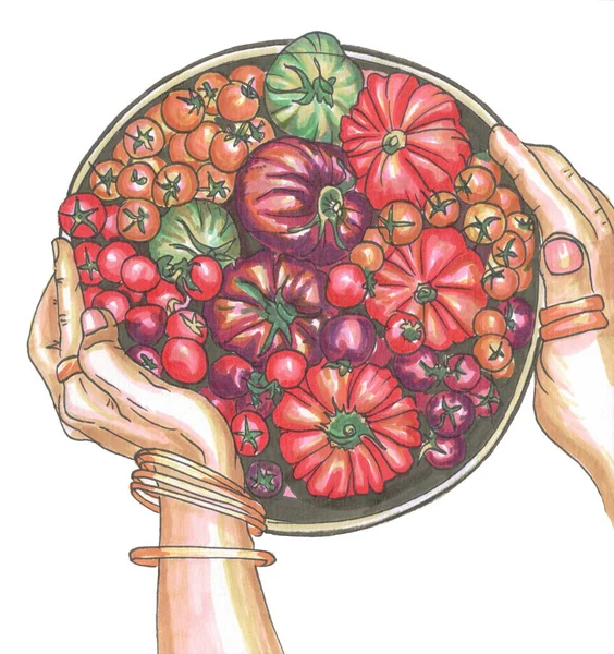 A plate with vegetables red orange purple green tomatoes — Stock Image A plate with vegetables red orange purple green tomatoes Stock Image