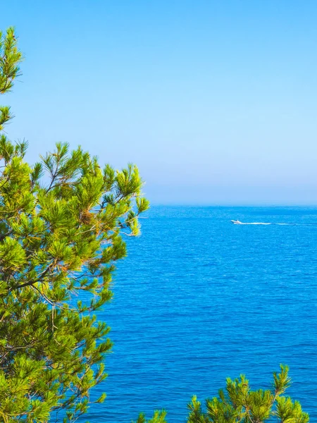 Ön planda mavi gökyüzü ve bitkiler ile Akdeniz denizi, Salou, Katalonya, İspanya 