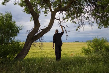 Çiftçi sırtında bulutlu bir günde sahaya bakıyor.