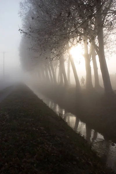 Person Exercising Canal Fog Dawn Trees — Stock Photo, Image