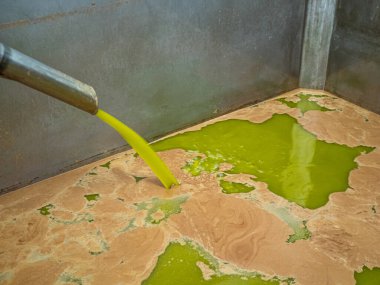 Zeytin hasadından sonra soğuk pres fabrikasının deposuna dökülen taze saf zeytinyağı. Tarım kavramı.