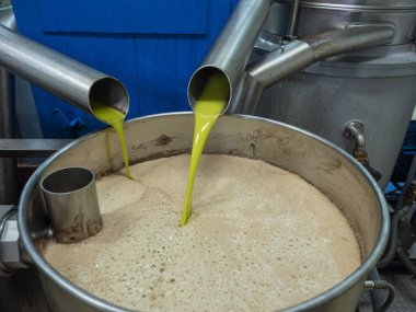 Zeytin hasadından sonra soğuk pres fabrikasının deposuna dökülen taze saf zeytinyağı. Tarım kavramı.