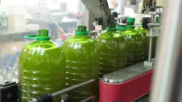 Proceso Embotellado Aceite Una Fábrica Agrícola Enfoque Selectivo Concepto Agrícola — Vídeo de stock