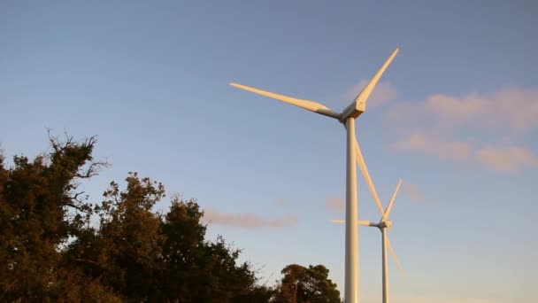 Väderkvarnar Som Roterar Vinden Och Genererar Förnybar Energi Ett Ekologiskt — Stockvideo