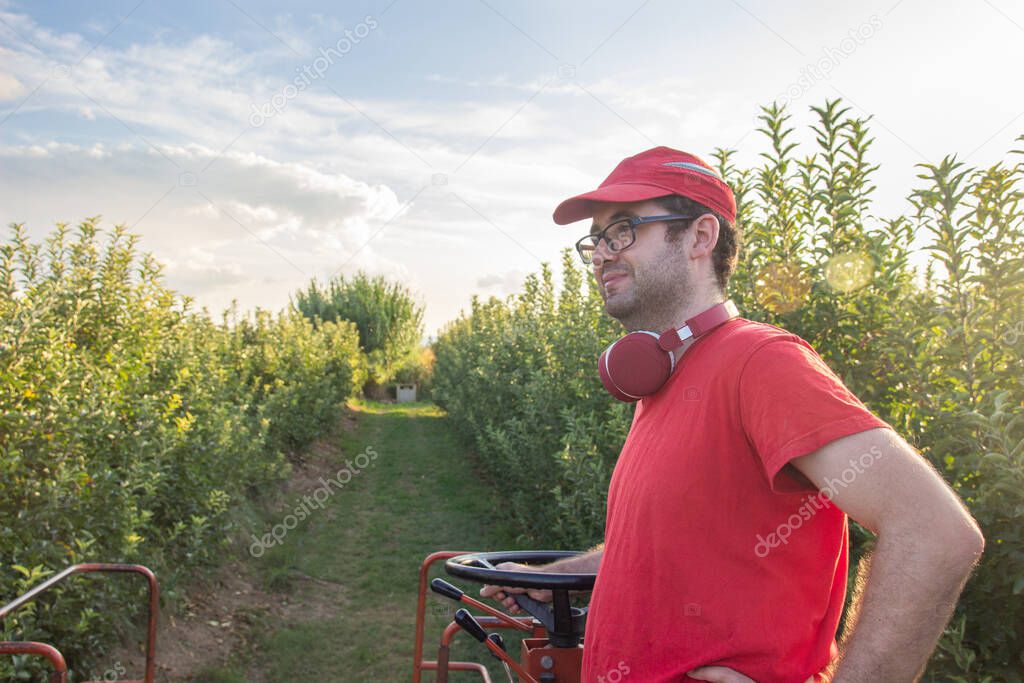 Young boy in red shirt and cap drives an apple-picking machine in a fruit orchard while listening to music with headphones. Agricultural concept.