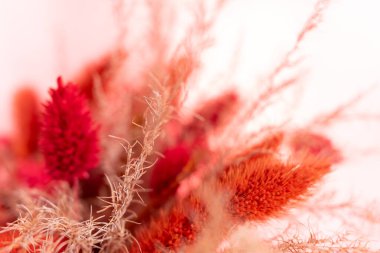 A collection of colorful dried flowers in shades of red and orange is beautifully arranged in a bouquet. This vibrant display adds a warm and inviting touch to home decor, showcasing the beauty of nature in a lasting form.