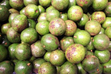 Top şeklinde yeşil avokado pazarda satılıyor.